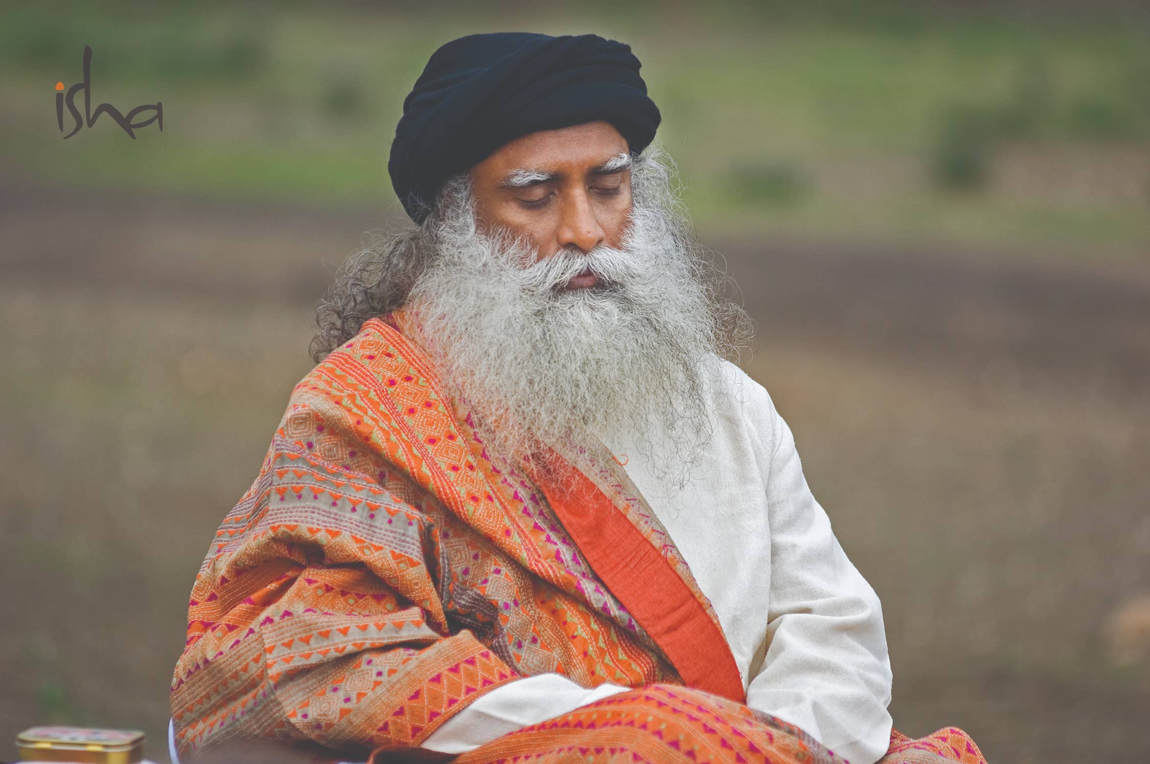 Sadhguru representing the guidance behind the workshop structure