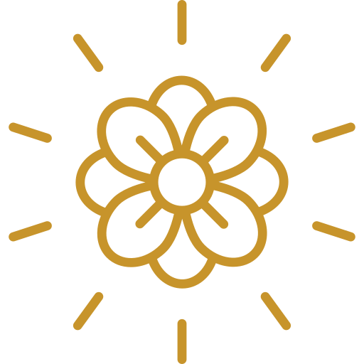 Slows down the aging process icon